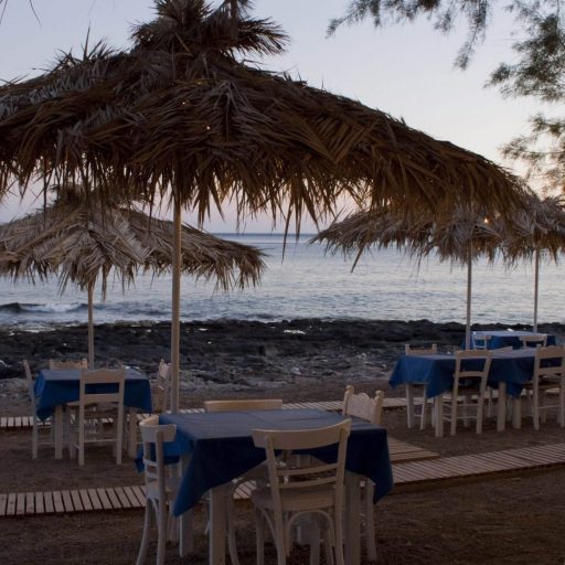 cropped-cropped-cropped-img1931b-2-1-1jpg