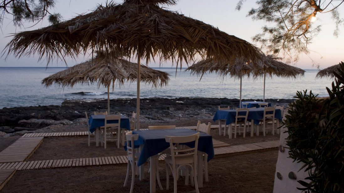 cropped-cropped-cropped-cropped-img1931b-2-5jpg