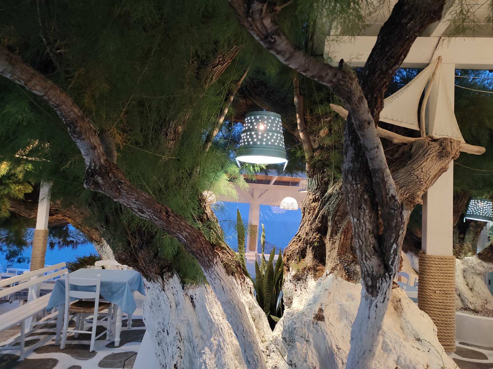 viberimage2022-06-0911-09-49-716