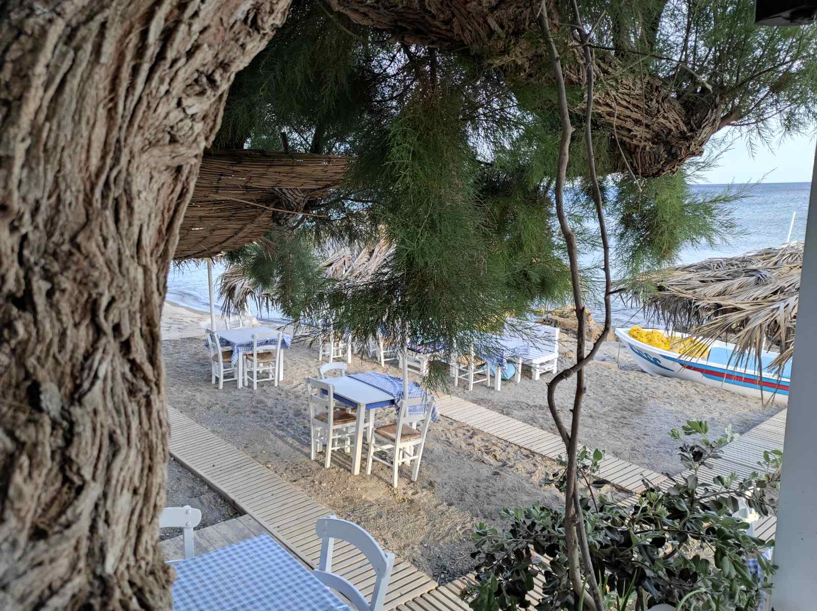 viberimage2022-06-0911-09-49-834