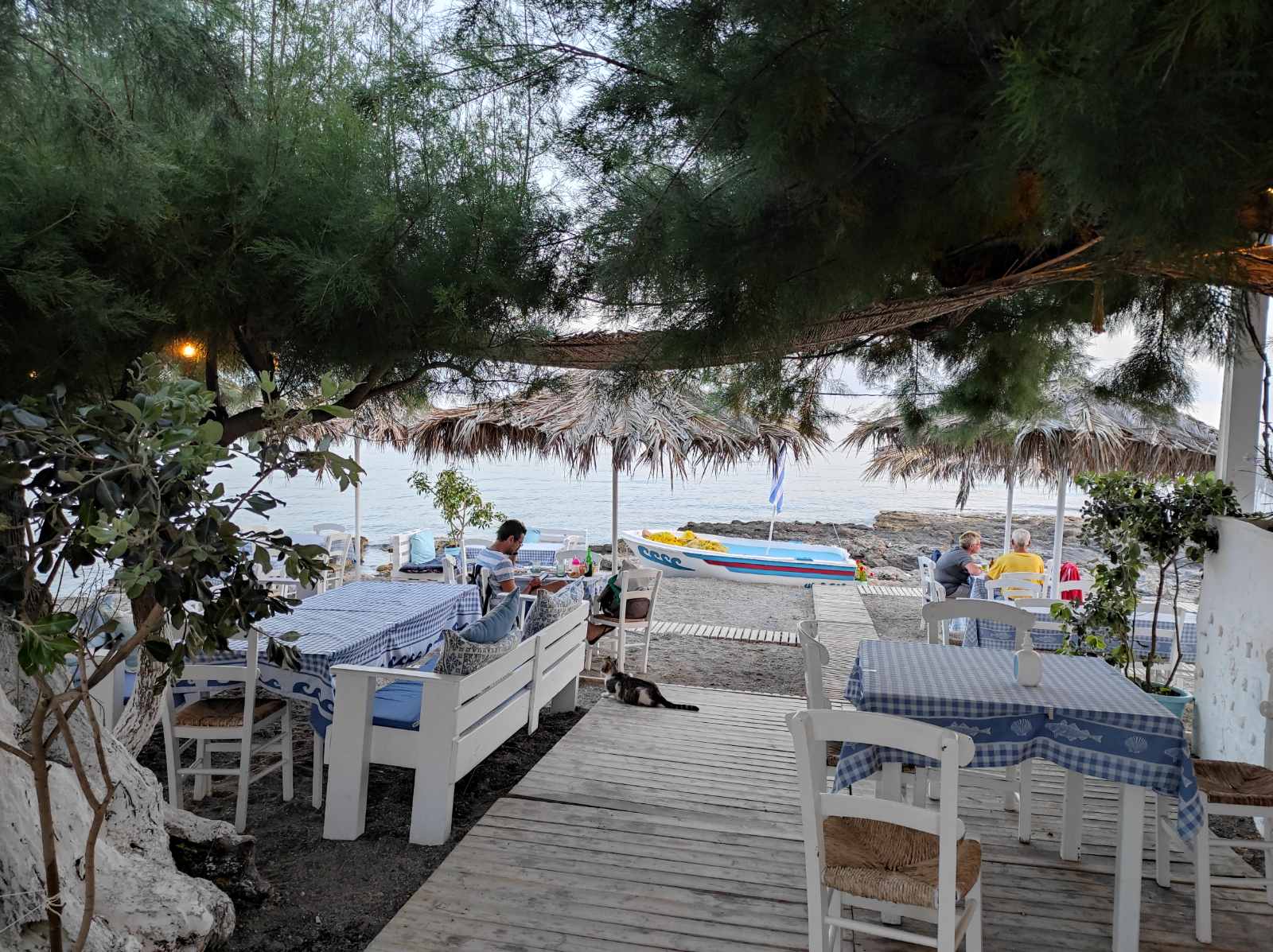 viberimage2022-06-0911-09-50-312