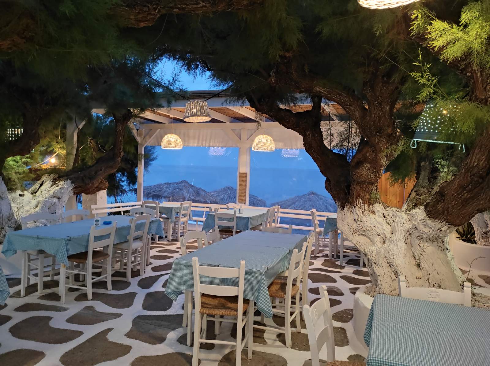 viberimage2022-06-0911-09-50-525