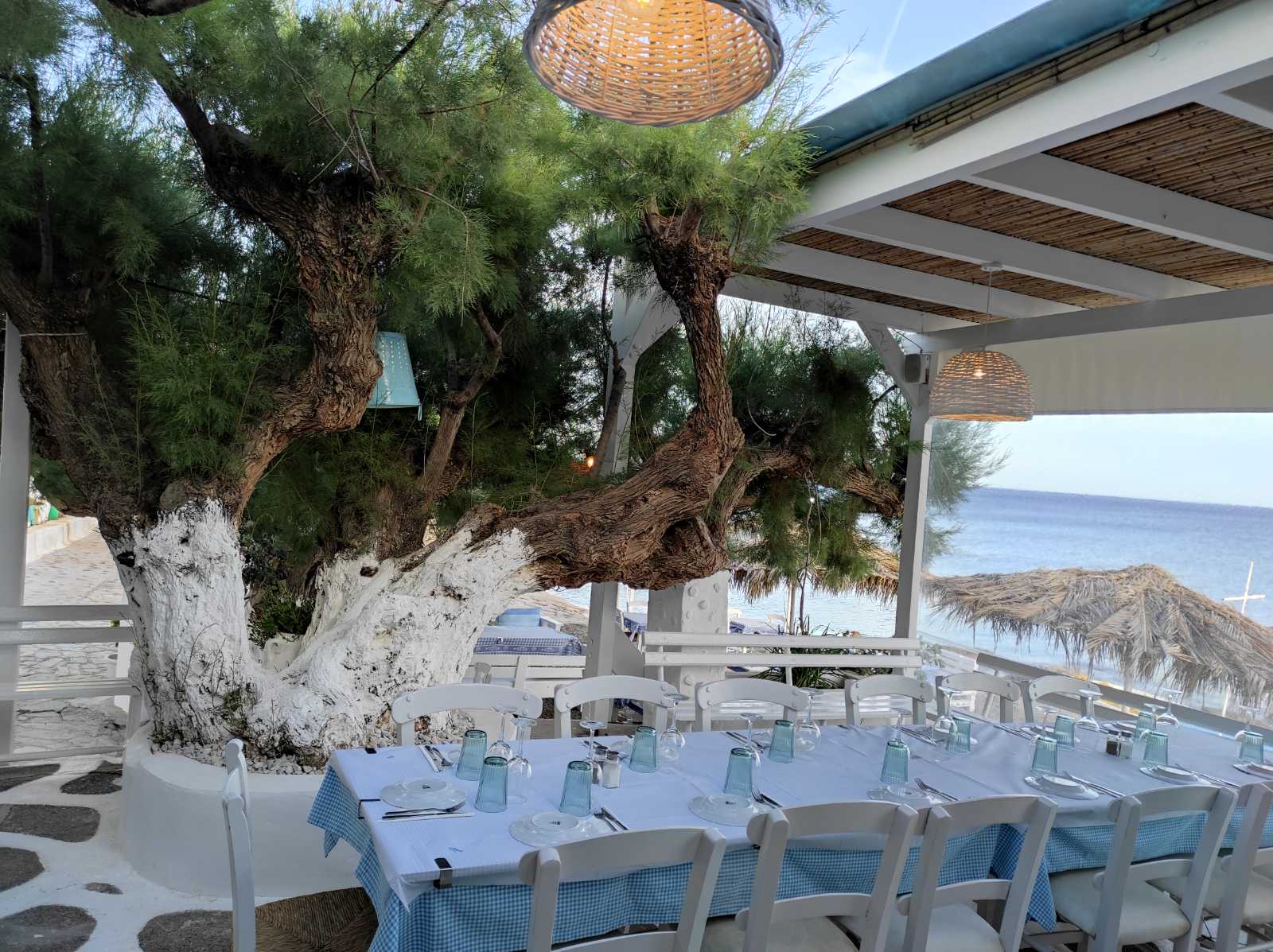 viberimage2022-06-0911-09-50-631